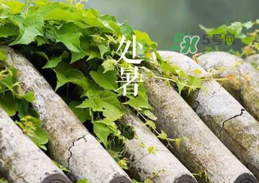 立秋為什么在處暑前？為什么立秋早過(guò)處暑？