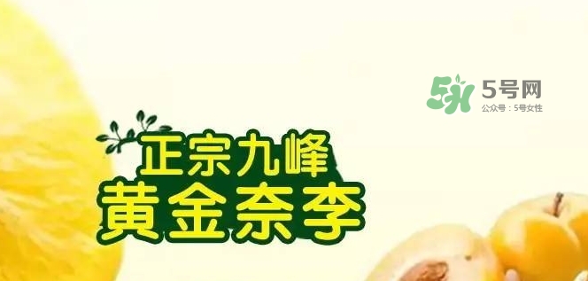 黃金奈李多少錢一斤？黃金奈李價(jià)格