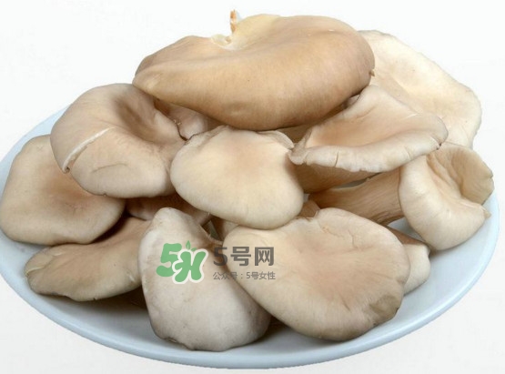 秀珍菇可以和海帶一起吃嗎？海帶能和秀珍菇一起吃嗎