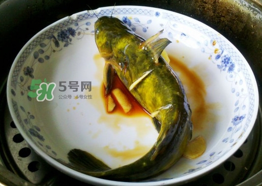 黃刺魚(yú)怎么殺？黃刺魚(yú)怎么處理
