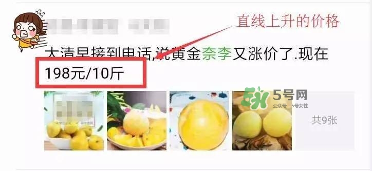 黃金奈李多少錢一斤？黃金奈李價(jià)格