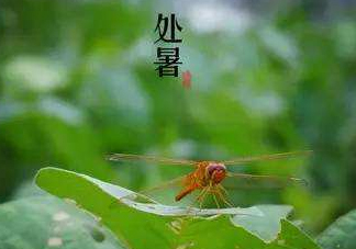立秋為什么在處暑前？為什么立秋早過處暑？