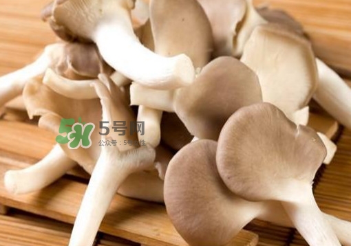 秀珍菇一畝地能種植多少包？秀珍菇如何出菇管理