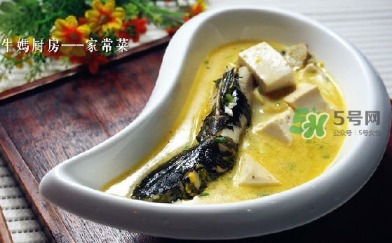 黃刺魚(yú)怎么殺？黃刺魚(yú)怎么處理