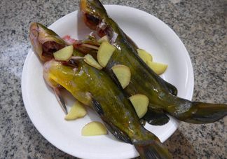 黃刺魚(yú)幾月份最好釣？黃刺魚(yú)怎么釣