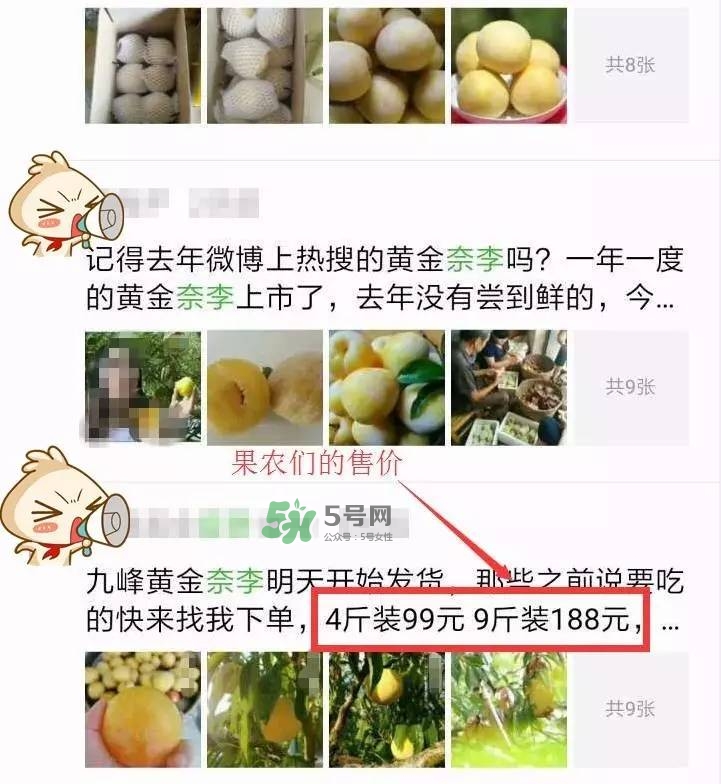 黃金奈李多少錢一斤？黃金奈李價(jià)格