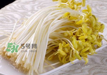 豆芽有綠葉還能吃嗎？豆芽有點(diǎn)爛了還能吃嗎