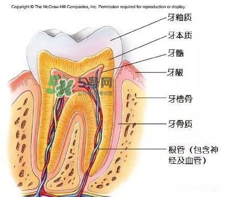 regenerate牙膏多少錢？regenerate牙膏專柜價(jià)格