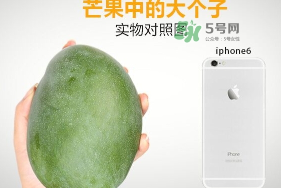 凱特芒果多少錢一斤？凱特芒果價(jià)格