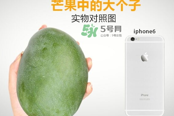 凱特芒果什么時(shí)候上市？凱特芒果上市時(shí)間
