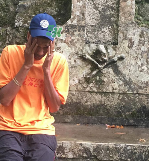 palace2017秋冬新款tri ferg tee什么樣_什么時(shí)候發(fā)售？