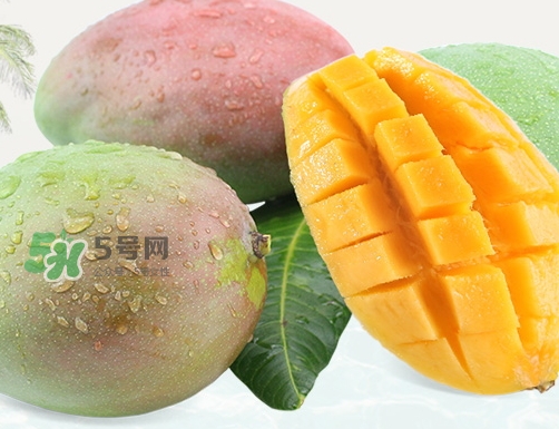 凱特芒果什么時(shí)候上市？凱特芒果上市時(shí)間