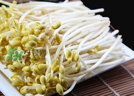 豆芽有根好還是無根好？無根豆芽與有根豆芽區(qū)別