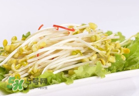 豆芽怎么保存？新鮮豆芽放冰箱能放幾天？