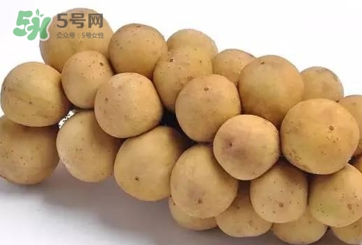 龍宮果多少錢一斤？龍功果價格表