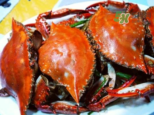 梭子蟹可以煮嗎？梭子蟹怎么煮？