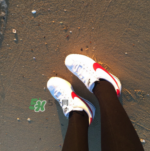 nike cortez jewel皮革版多少錢？耐克阿甘鞋皮革款價(jià)格