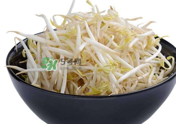 豆芽什么季節(jié)吃？豆芽什么時候有