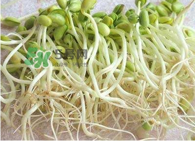 豆芽是發(fā)物嗎？豆芽能見陽光嗎
