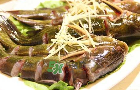 黃蜂魚(yú)怎么做好吃？黃蜂魚(yú)怎么釣