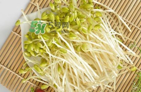 豆芽怎么保存？新鮮豆芽放冰箱能放幾天？