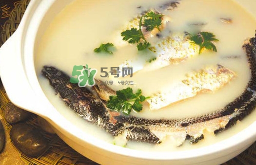 黃蜂魚怎么煮好吃？黃蜂魚燉湯孕婦可以喝嗎