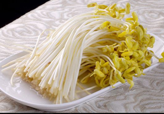 豆芽有綠葉還能吃嗎？豆芽有點爛了還能吃嗎