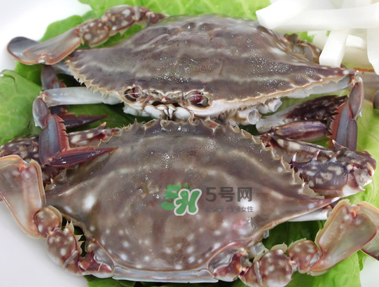 梭子蟹為什么這么貴？梭子蟹和大閘蟹哪個貴？