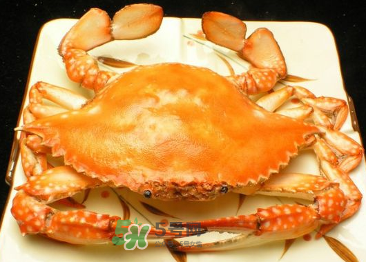 飛蟹什么時(shí)候最肥？飛蟹幾月份最肥？