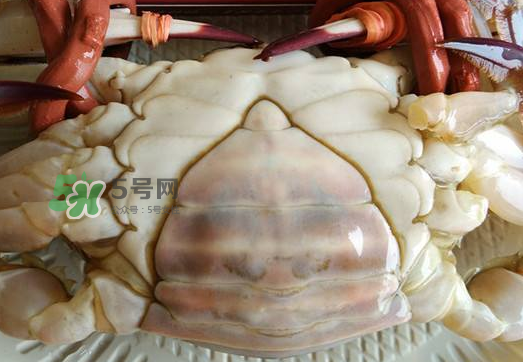 飛蟹多少錢一斤？飛蟹多少錢一斤2017？
