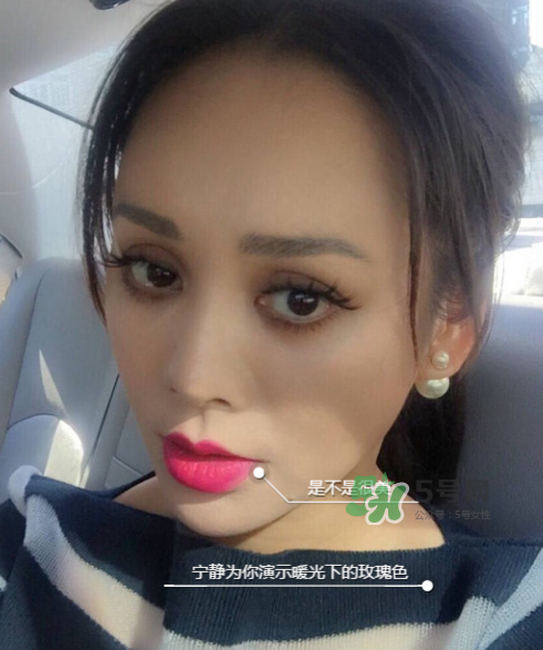 ysl208是什么顏色？ysl208適合黃皮嗎？