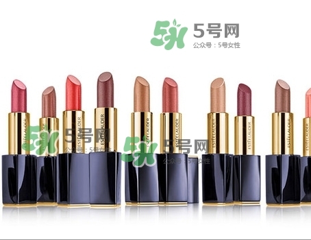 雅詩蘭黛絕對欲望霧感唇膏色號(hào)_試色圖