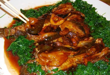 河豚魚(yú)怎么吃？河豚魚(yú)怎么去毒