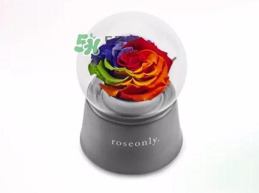 roseonly音樂盒多少錢？roseonly音樂盒歌曲名