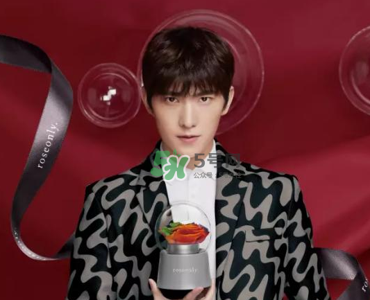 roseonly音樂盒多少錢？roseonly音樂盒歌曲名