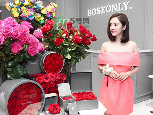roseonly音樂盒多少錢？roseonly音樂盒歌曲名
