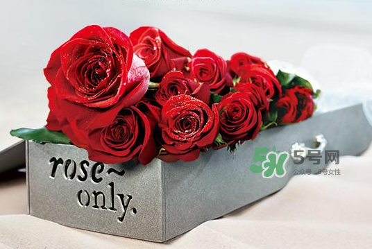 roseonly永生花可以保存多久？roseonly永生花保養(yǎng)