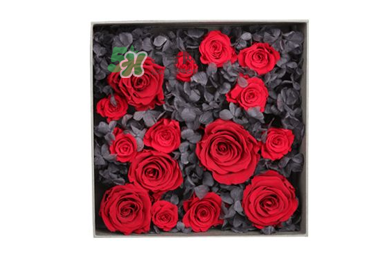 roseonly永生花可以保存多久？roseonly永生花保養(yǎng)