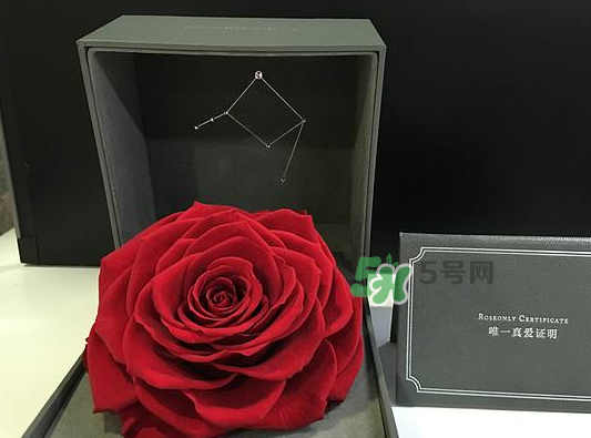 roseonly永生花可以保存多久？roseonly永生花保養(yǎng)