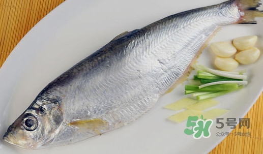 鰣魚和響魚是兩種魚嗎？鰣魚和鯽魚的區(qū)別