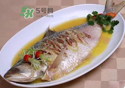 鰣魚怎么讀？鰣魚是什么魚