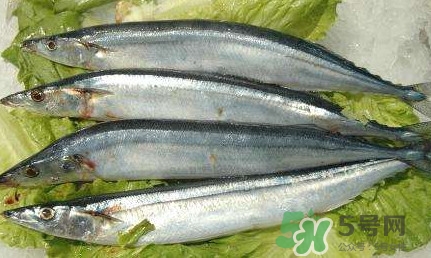 鰣魚(yú)和刀魚(yú)哪個(gè)貴？長(zhǎng)江三鮮哪個(gè)最貴