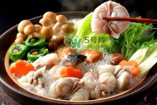 河豚魚多少錢一斤？河豚為什么會(huì)鼓起來(lái)
