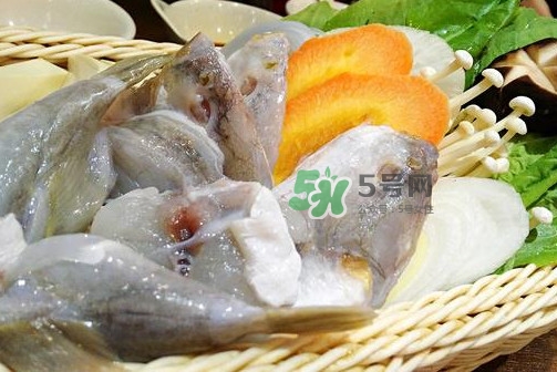 河豚可以當(dāng)寵物養(yǎng)嗎？河豚可以用淡水養(yǎng)嗎