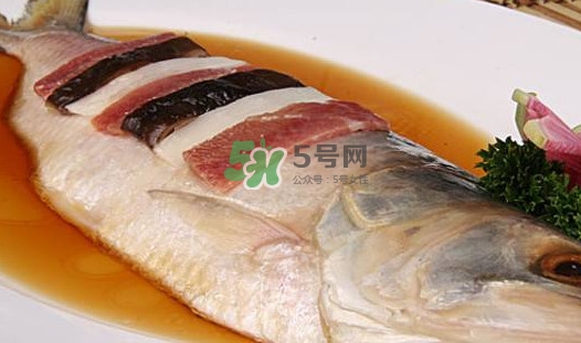 鰣魚多少錢一斤？長(zhǎng)江鰣魚多少錢一斤2017
