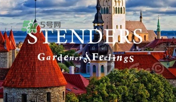 施丹蘭孕婦可以用嗎？stenders施丹蘭懷孕可以用嗎
