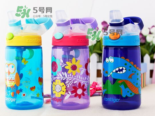 contigo水杯怎么樣？contigo水杯是什么材質(zhì)？