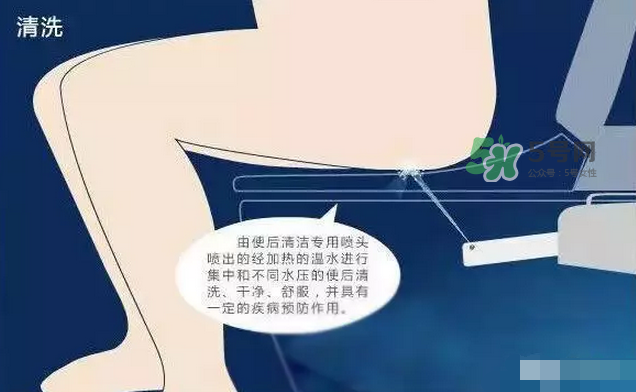 孕期可以蹲著上廁所嗎？孕期上廁所會壓到寶寶嗎？