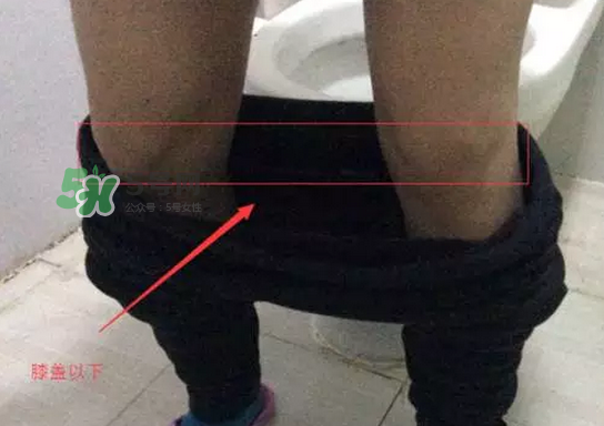 孕期可以蹲著上廁所嗎？孕期上廁所會壓到寶寶嗎？