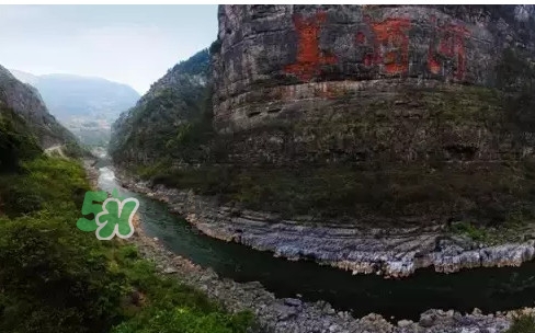 茅臺(tái)酒為什么那么貴？茅臺(tái)酒為什么這么貴